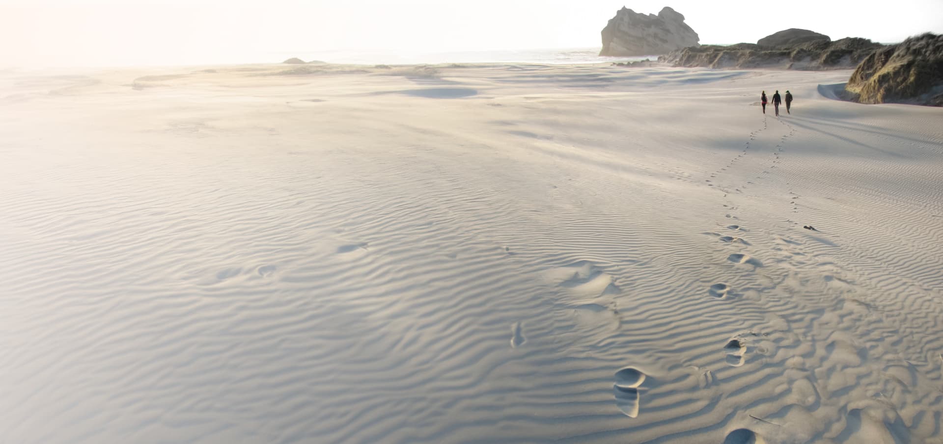 PBJ People leadership and coaching